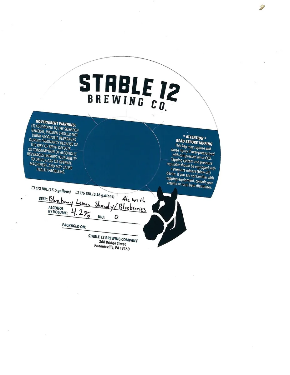 Blueberry Lemon Shandy — full label as filed with TTB