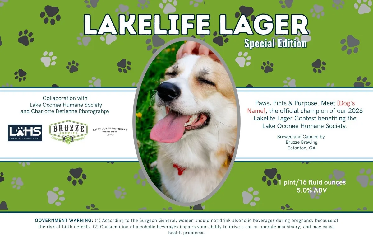 Lakelife Lager Special Edition label art — BRUZZE BREWING