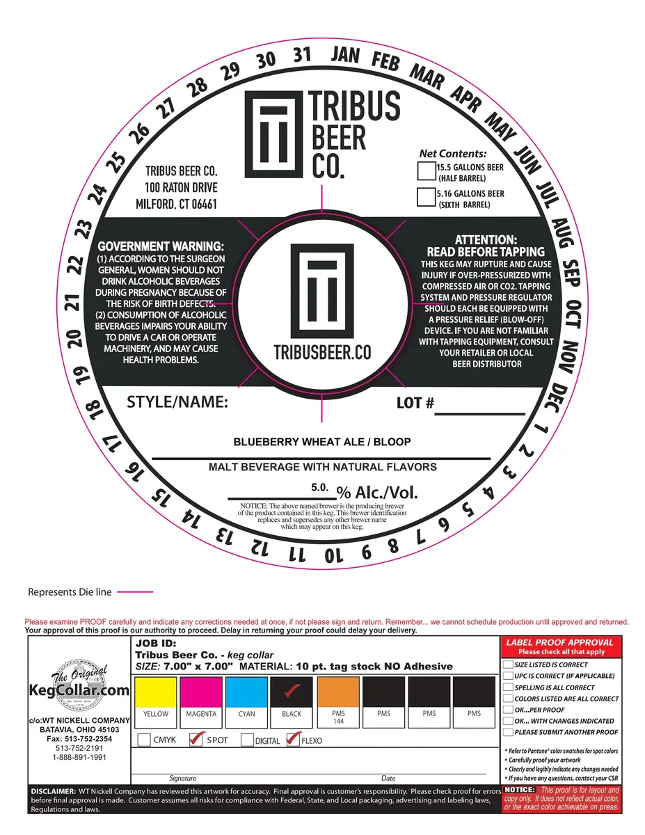 Blueberry Wheat Ale — full label as filed with TTB